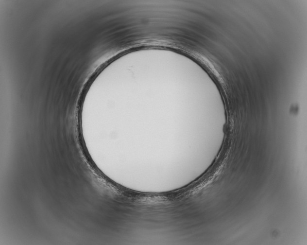 X0000096181133200802151435