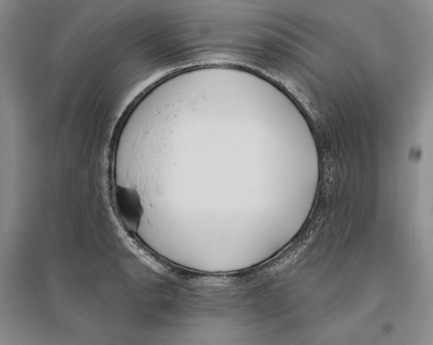 X0000096181134200802151435