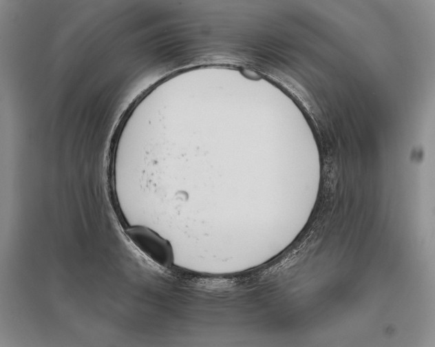 X0000096181135200802151435