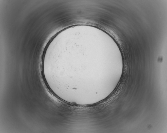 X0000096181136200802151435