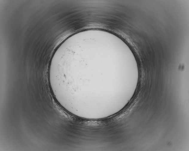 X0000096181137200802151435
