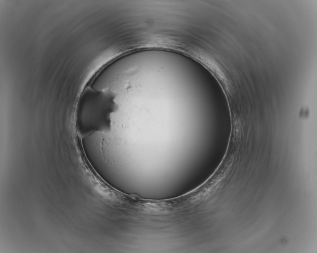 X0000096181138200802151435