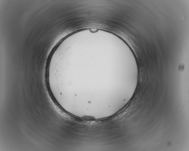 X0000096181139200802151435