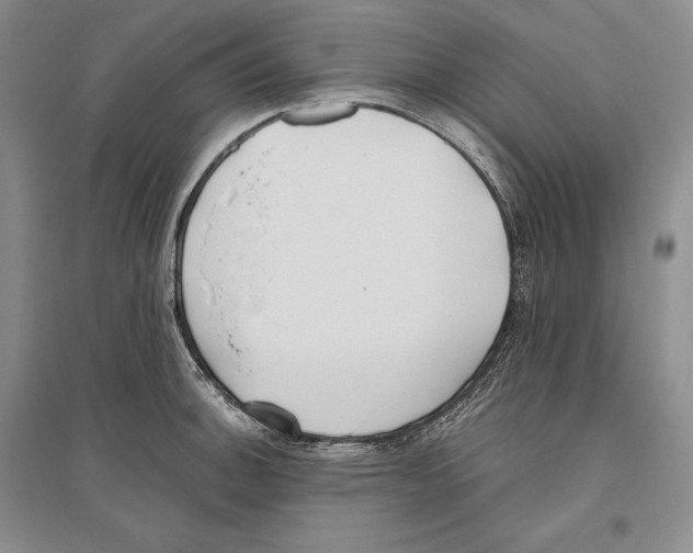 X0000096181140200802151435