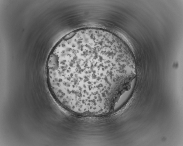 X0000096181141200802151435