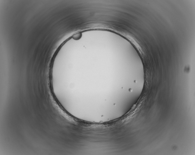 X0000096181142200802151435