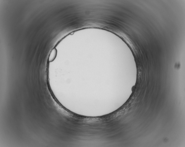 X0000096181143200802151435