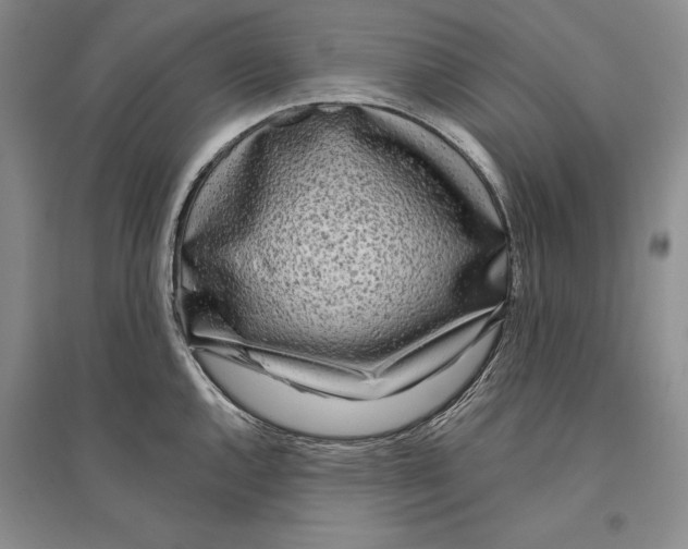 X0000096181144200802151435