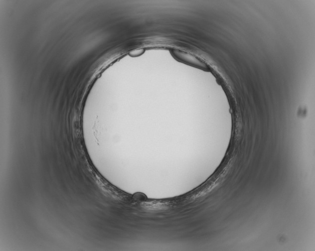 X0000096181145200802151435