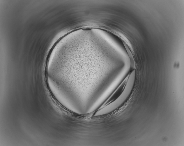 X0000096181146200802151435
