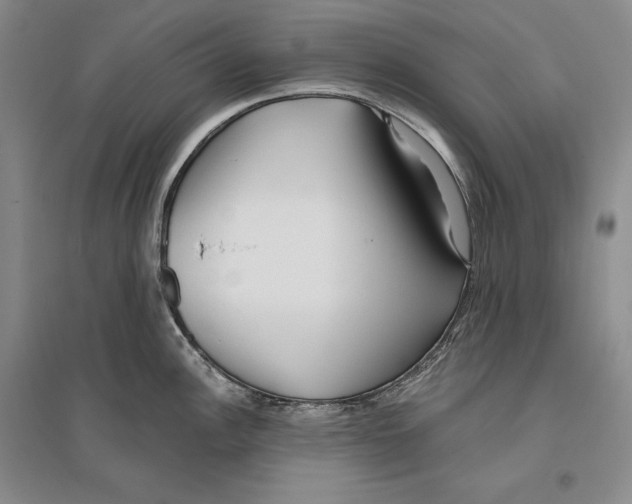 X0000096181148200802151435