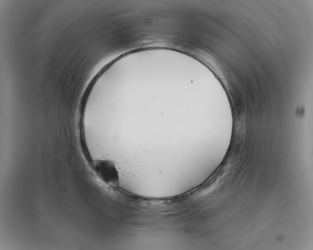 X0000096181149200802151435