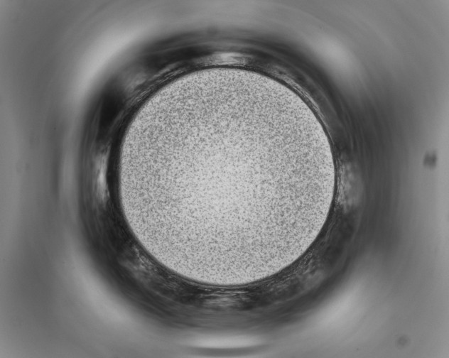 X0000096181150200802151435