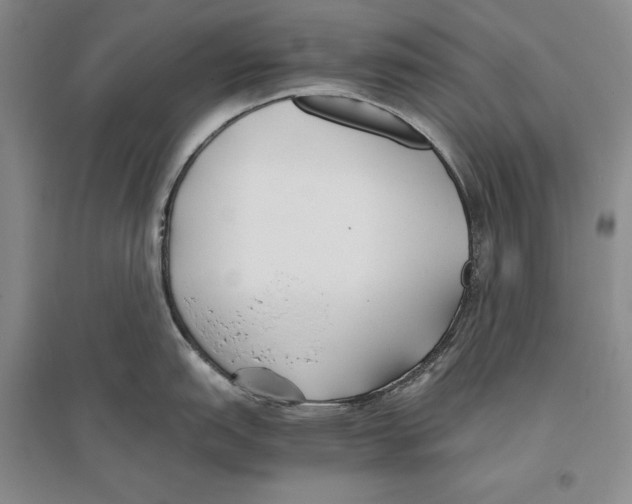 X0000096181151200802151435