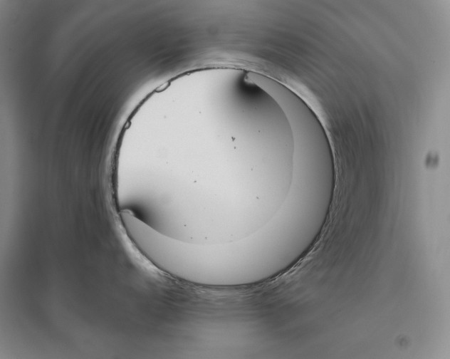 X0000096181152200802151435