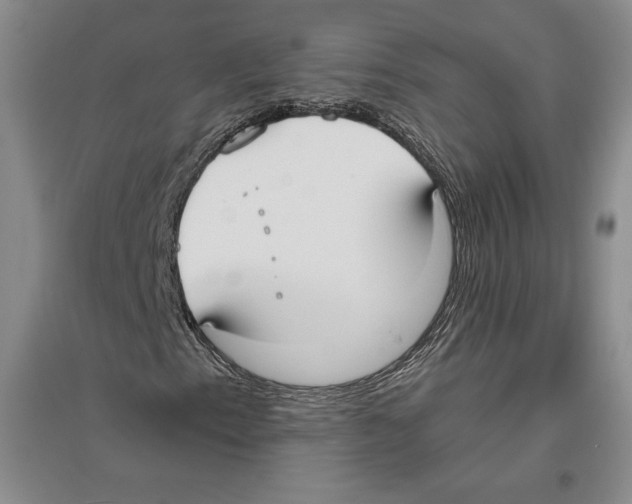 X0000096181153200802151435