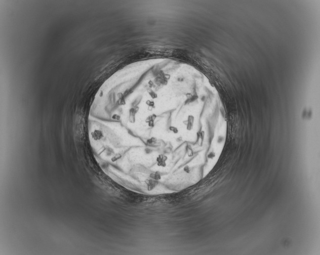 X0000096181154200802151435