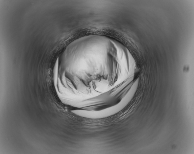 X0000096181156200802151435