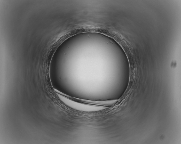 X0000096181157200802151435