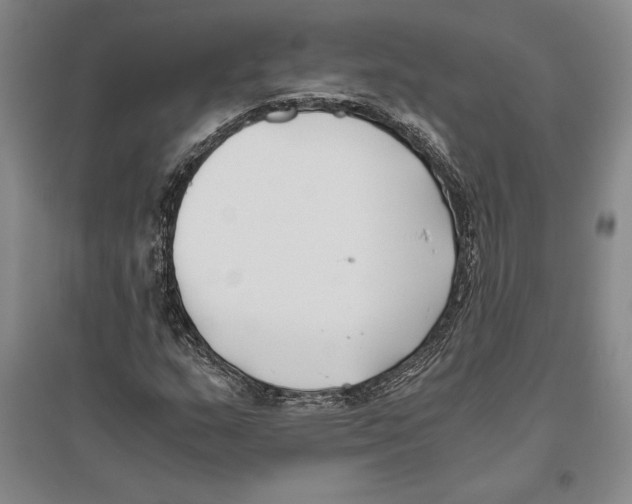 X0000096181159200802151435