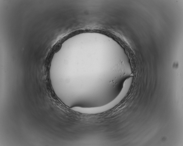 X0000096181160200802151435