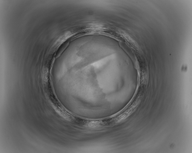 X0000096181161200802151435