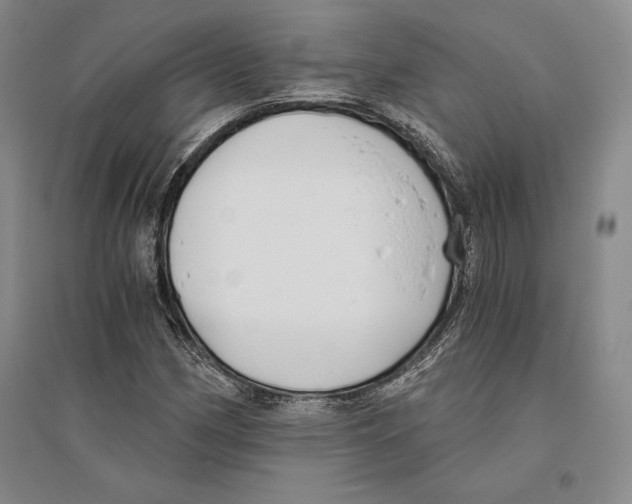 X0000096181162200802151435