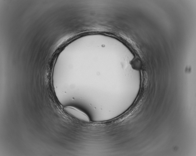 X0000096181163200802151435