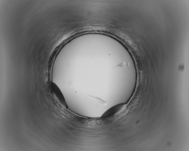 X0000096181165200802151434