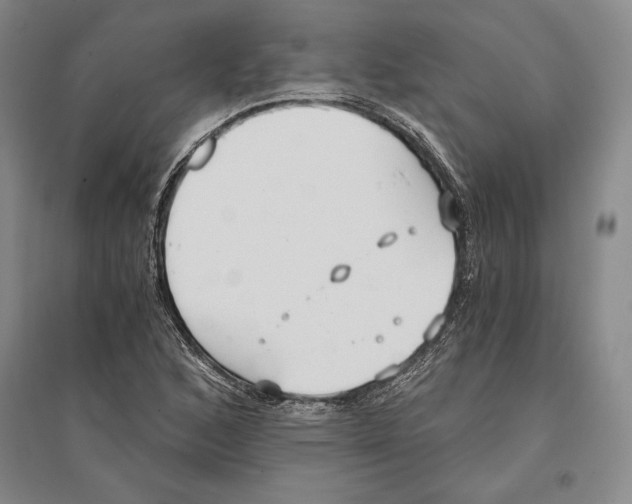 X0000096181168200802151434