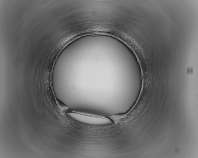 X0000096181169200802151434