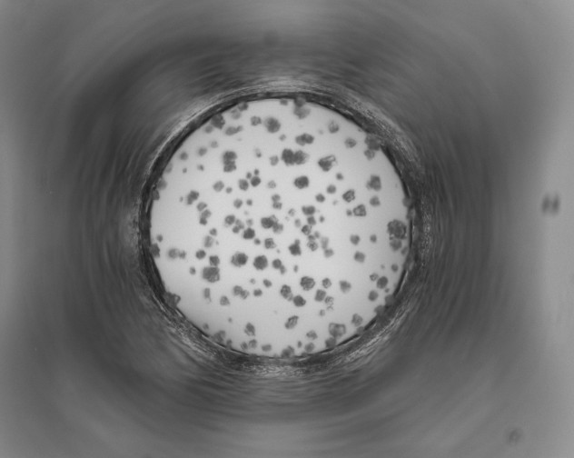 X0000096181170200802151434