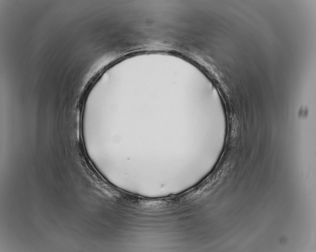 X0000096181171200802151434