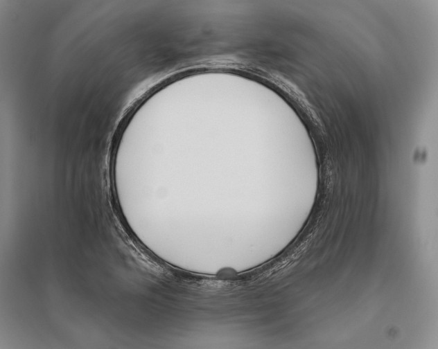 X0000096181176200802151434