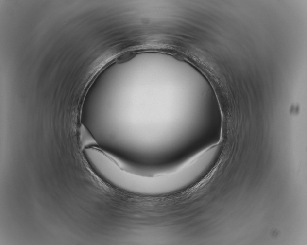 X0000096181177200802151434