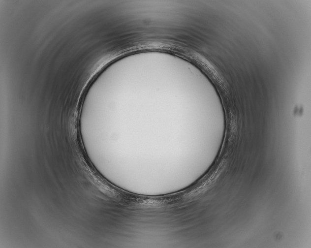 X0000096181178200802151434