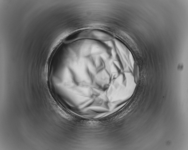 X0000096181180200802151434