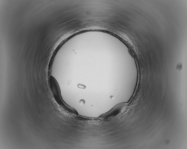 X0000096181181200802151434