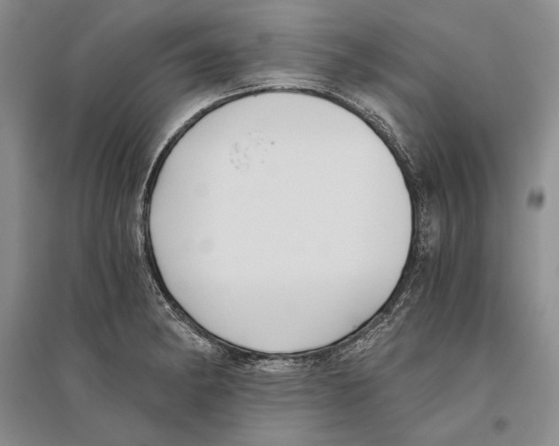 X0000096181182200802151434
