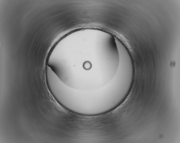 X0000096181184200802151434