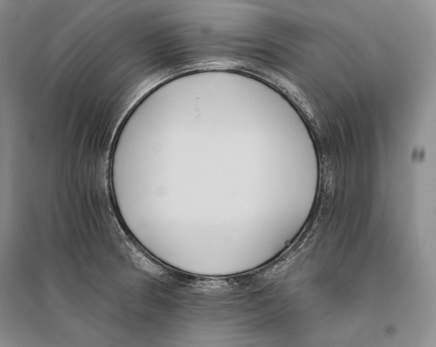 X0000096181186200802151434
