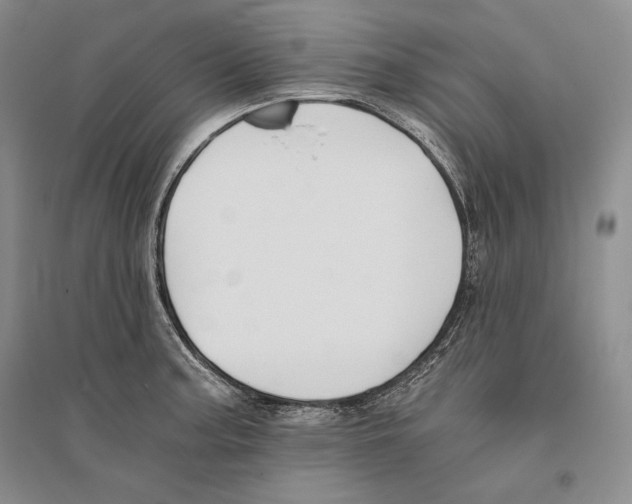 X0000096181187200802151434