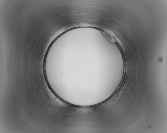 X0000096181189200802151434