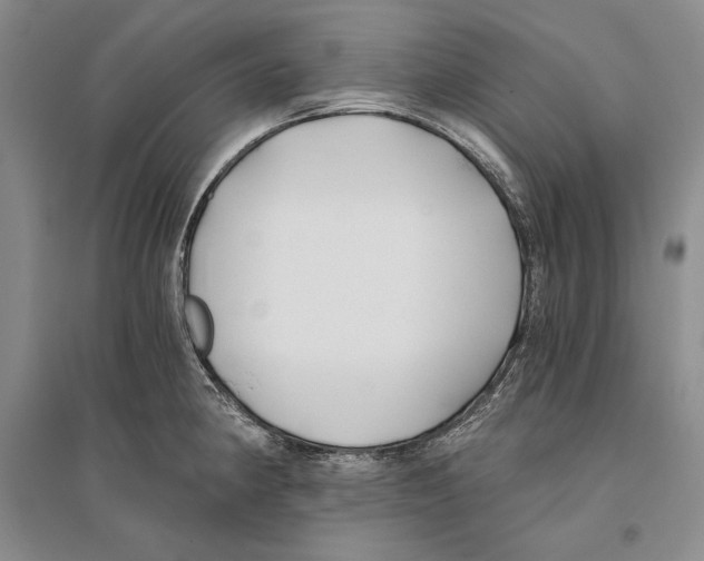 X0000096181190200802151434