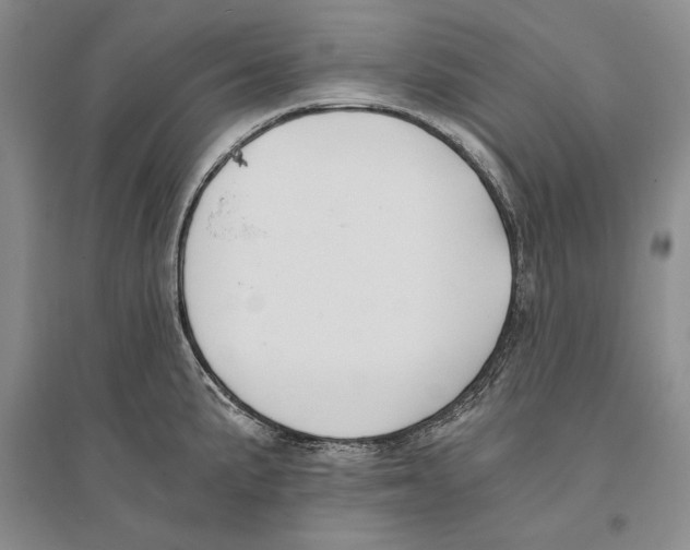 X0000096181191200802151434