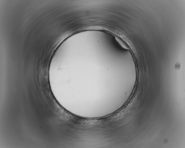 X0000096181193200802151434