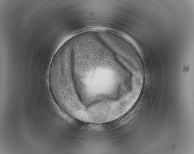 X0000096181194200802151434