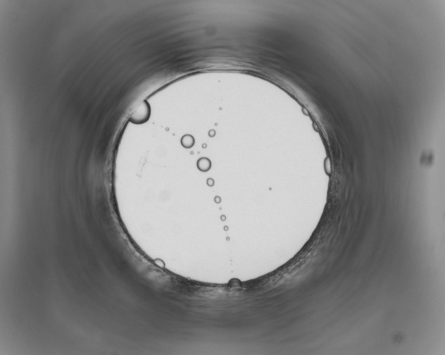 X0000096181195200802151434