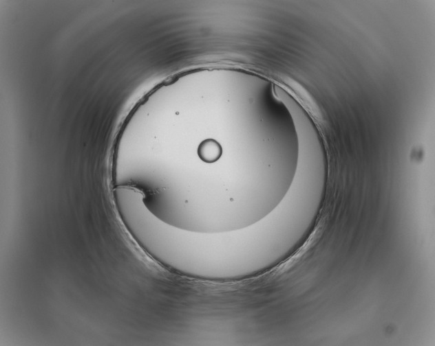 X0000096181196200802151434