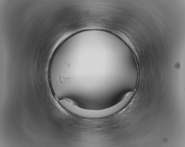 X0000096181197200802151434